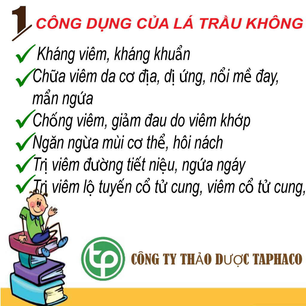 Lá trầu không sấy khô 1kg - Thảo Dược Tấn Phát - Hàng công ty chất lượng cao