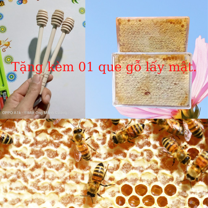 2 hộp mật ong bánh tổ 1000 gram giá chỉ 299.000đ. Tặng kèm 01 que gỗ lấy
