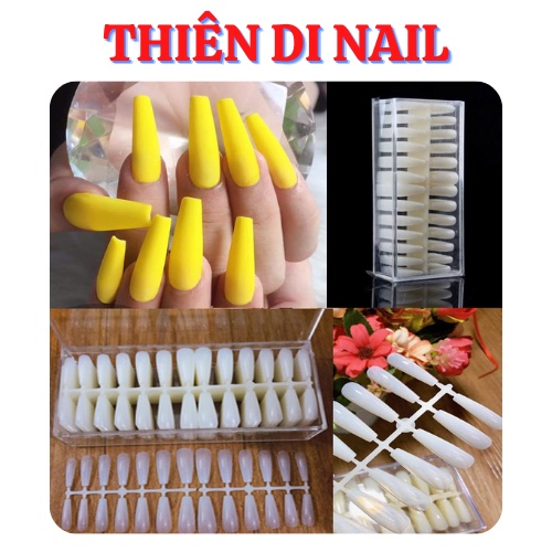 Móng up hộp fom thang vỉ 520 móng moon nail