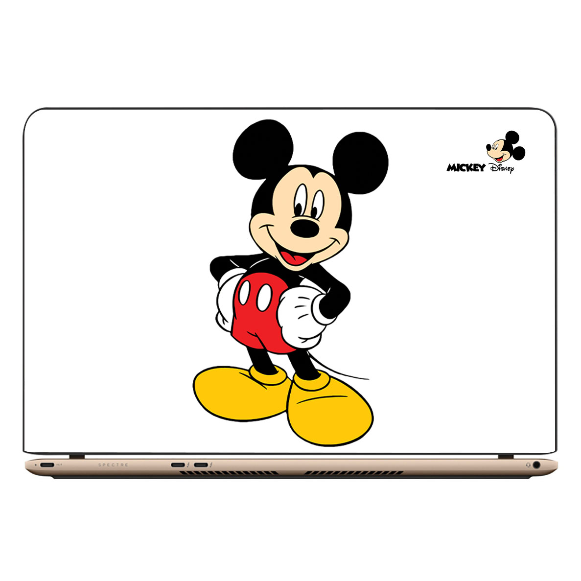Decal dán LAPTOP, Máy tính bảng (kích thước 25x40 cm) - THUTHAODECOR