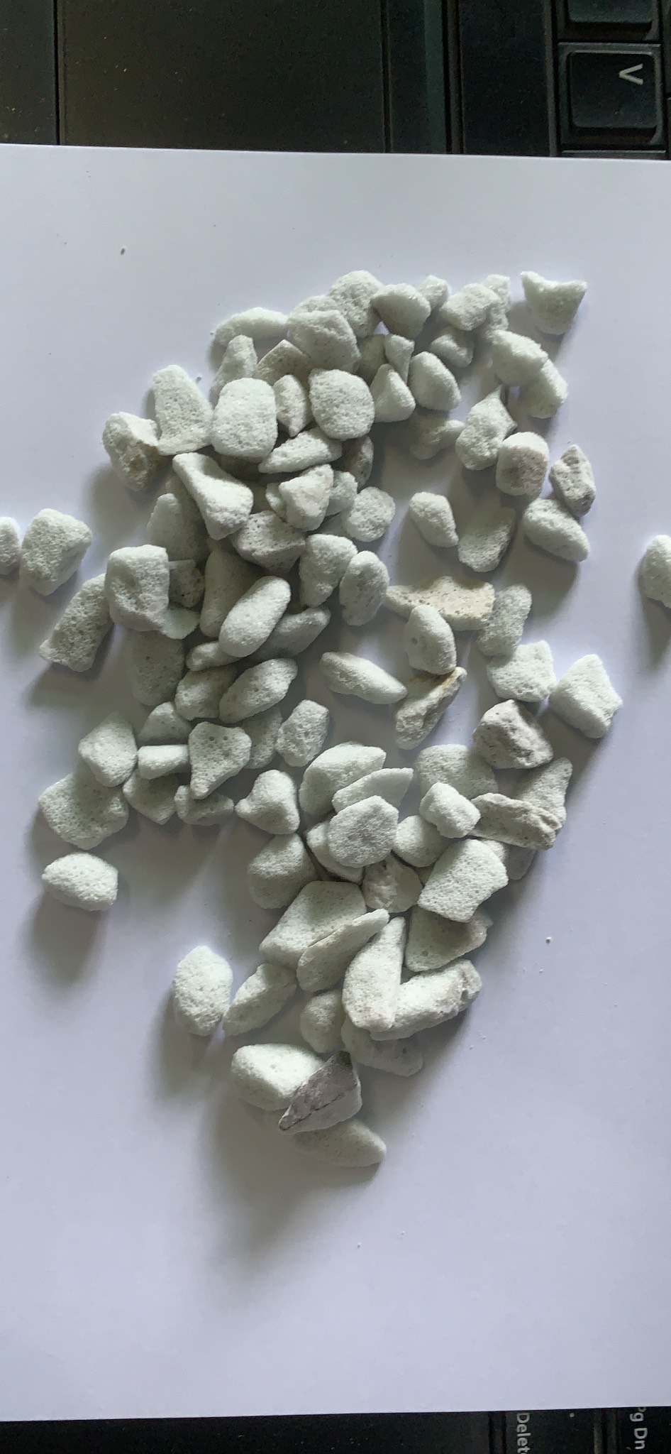 Đá trân châu Perlite kích thước 6-12mm túi 02 lít