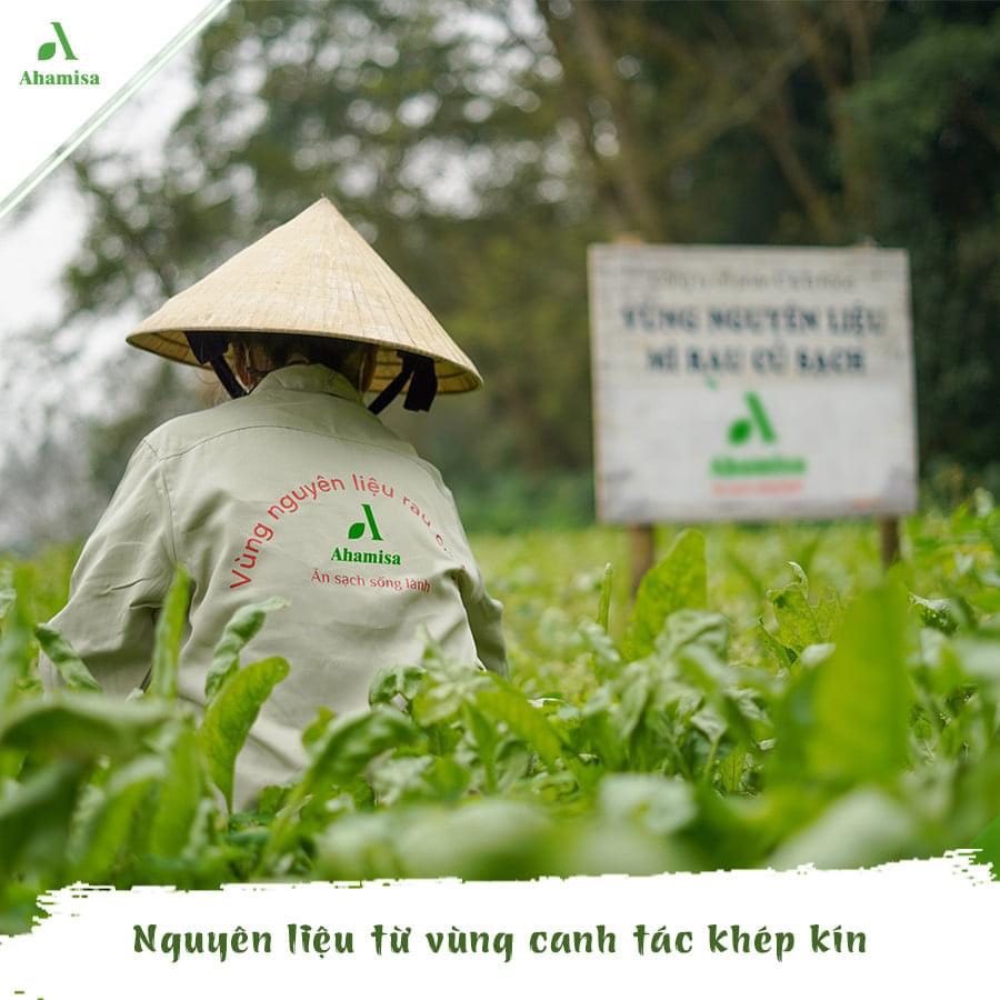 Mì Cải Kale