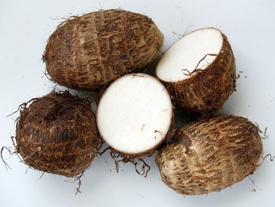 PHÂN BÓN DƯỠNG TO CỦ Chai 500ml