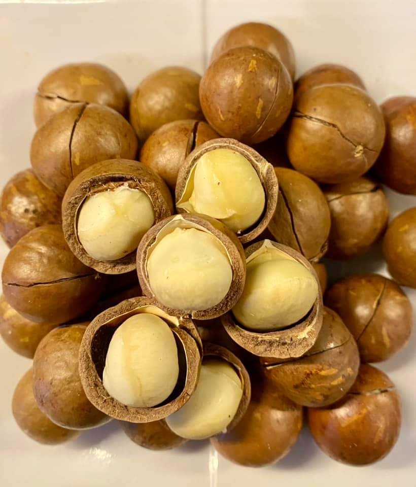 1kg Hạt mắc ca size đại nứt vỏ đắk lắk - thơm ngon chất lượng - hạt macca Tây Nguyên - Nông sản sạch Tây Nguyên, khothoaison
