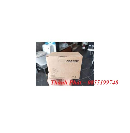 [CHÍNH HÃNG] Vòi Sen Lạnh CAESAR W038C, W038P