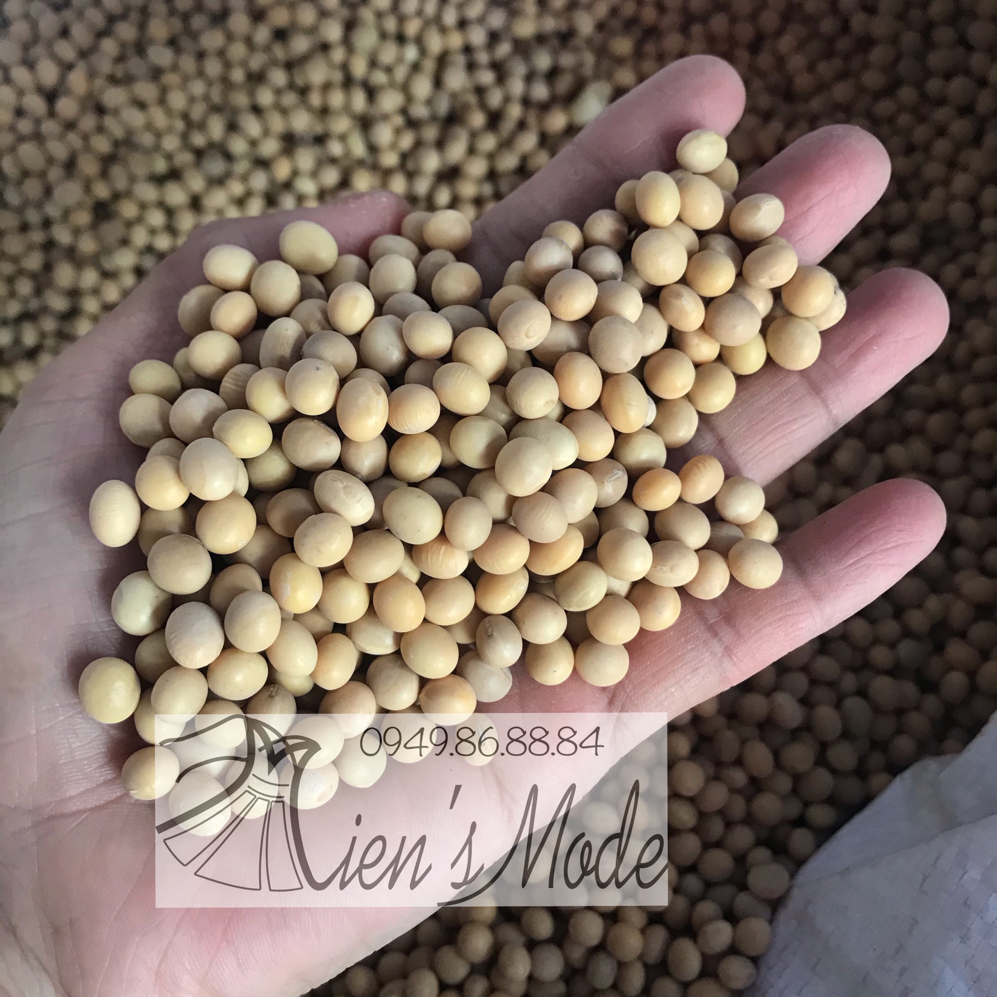 1kg Đỗ tương (đậu nành)