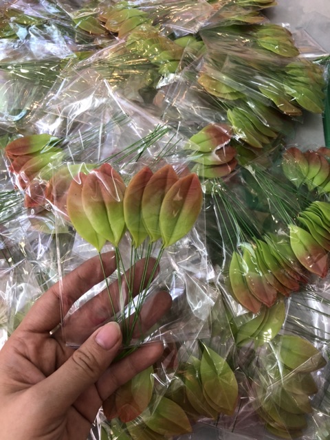 Clay Flower Leaves / Apricot Leaves / Clay Apricot Leaves 25K/10 Pieces
