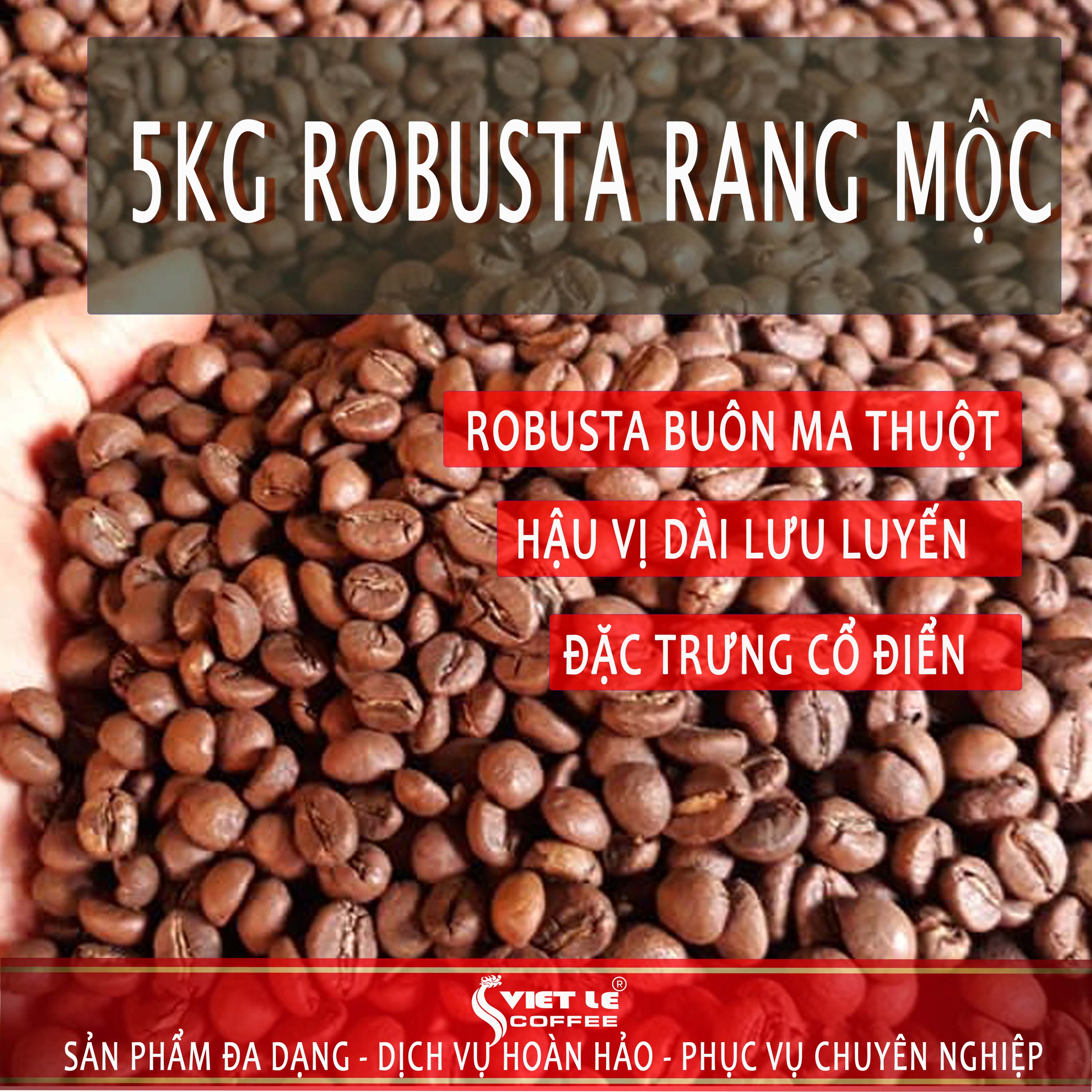 5kg Cà phê Robusta Honey rang mộc VIET LE COFFEE