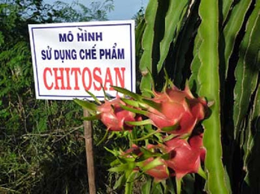Phân bón Bio Nano Tech Chitosan chai 250ml