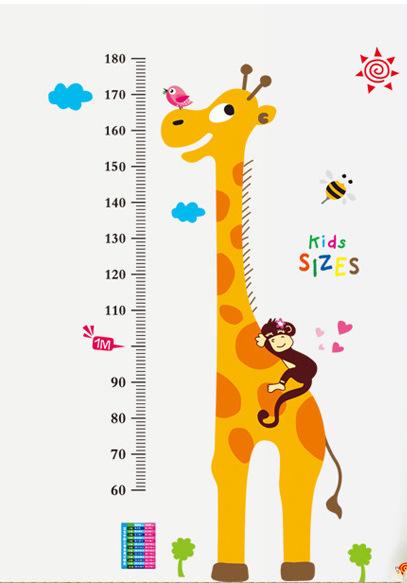 Decal dán tường đo chiều cao cho bé Kids sizes
