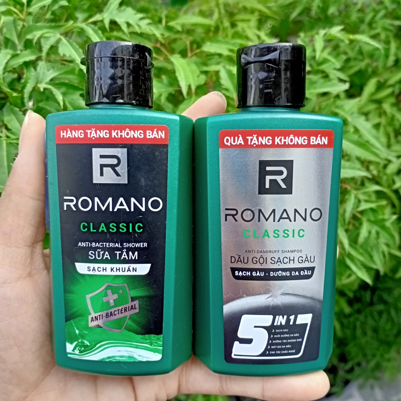 Bộ sữa tắm 60g + Dầu gội Romano 60g