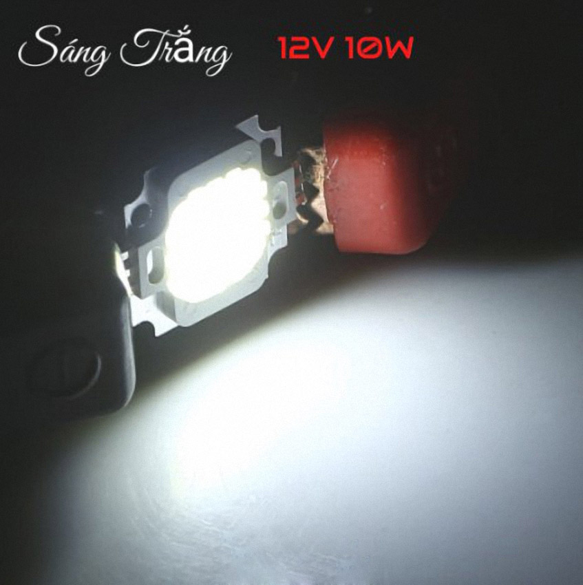 Combo 10 Chip 12V 10W Sáng Trắng