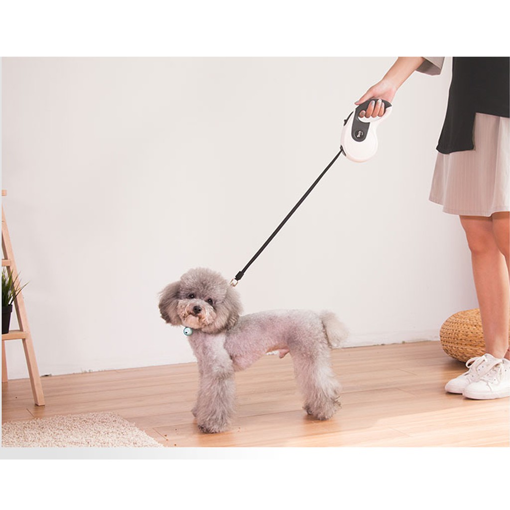 Leads dog automatic retractable 5m