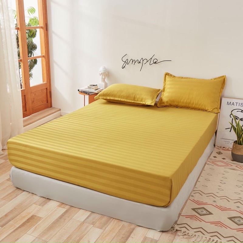 VỎ GỐI ÔM COTTON SỌC 3F