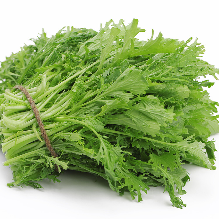 Hạt Giống Cải Ngọt Đuôi Phụng - 20Gram