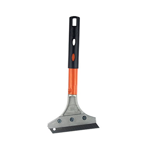 Cây Sủi Tường Cán Dài Thanh Bình