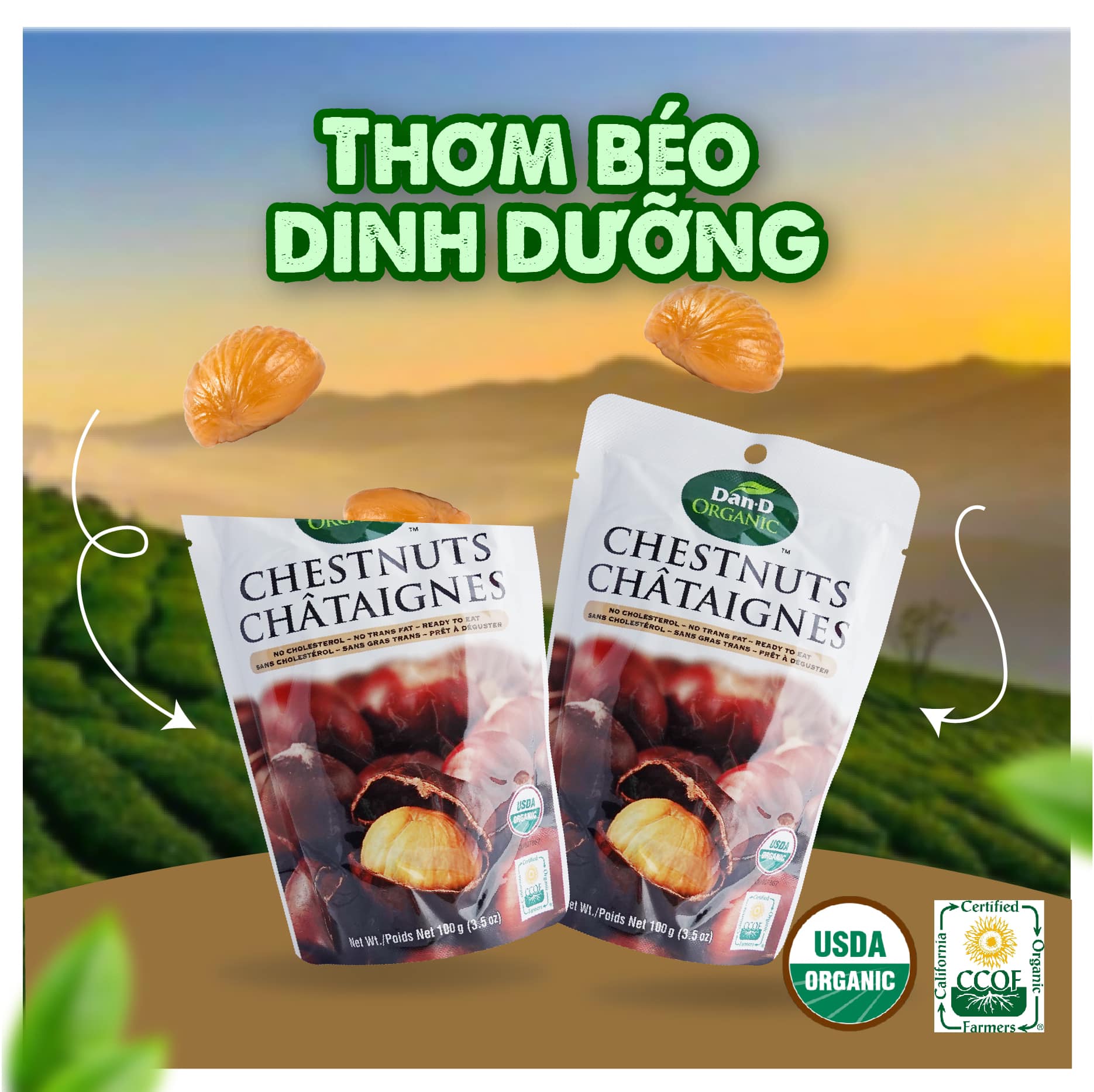 Hạt Dẻ Hấp Dan D Pak I Chest Nuts Ogranic I 100g