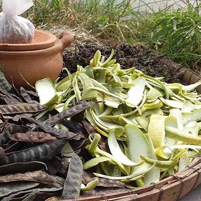 Dầu Gội Thảo Dược 100% Organic Bạc Hà The Mát