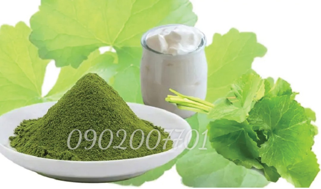 Bột rau má sấy lạnh nguyên chất 100%