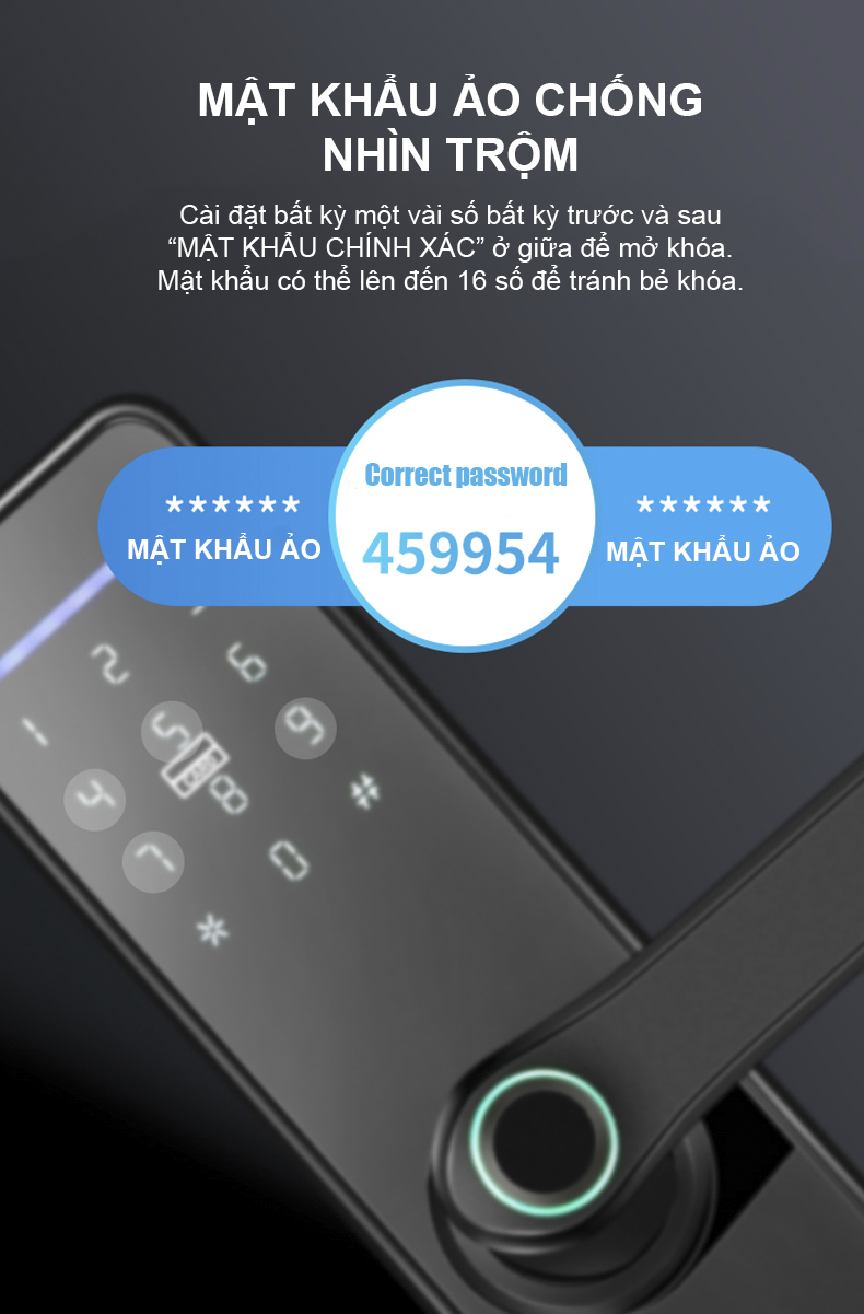 Khóa vân tay Smart Lockdoor Homesheel L1