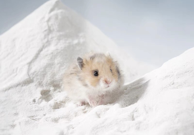 cát tắm SunShine dành cho hamster, đủ mùi thơm dành cho hamster - T3 PETS SHOP
