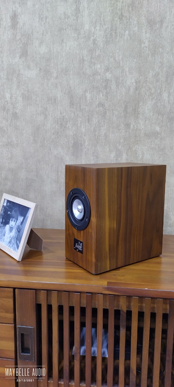 Loa bookshelf toàn dải 8cm Markaudio CHN50