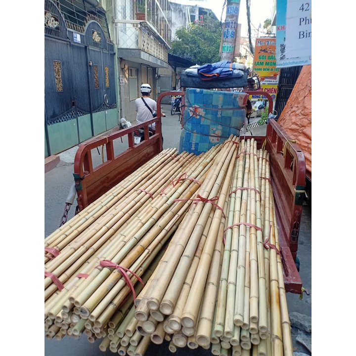 10 Cây Tre Trúc Dài 1.5m