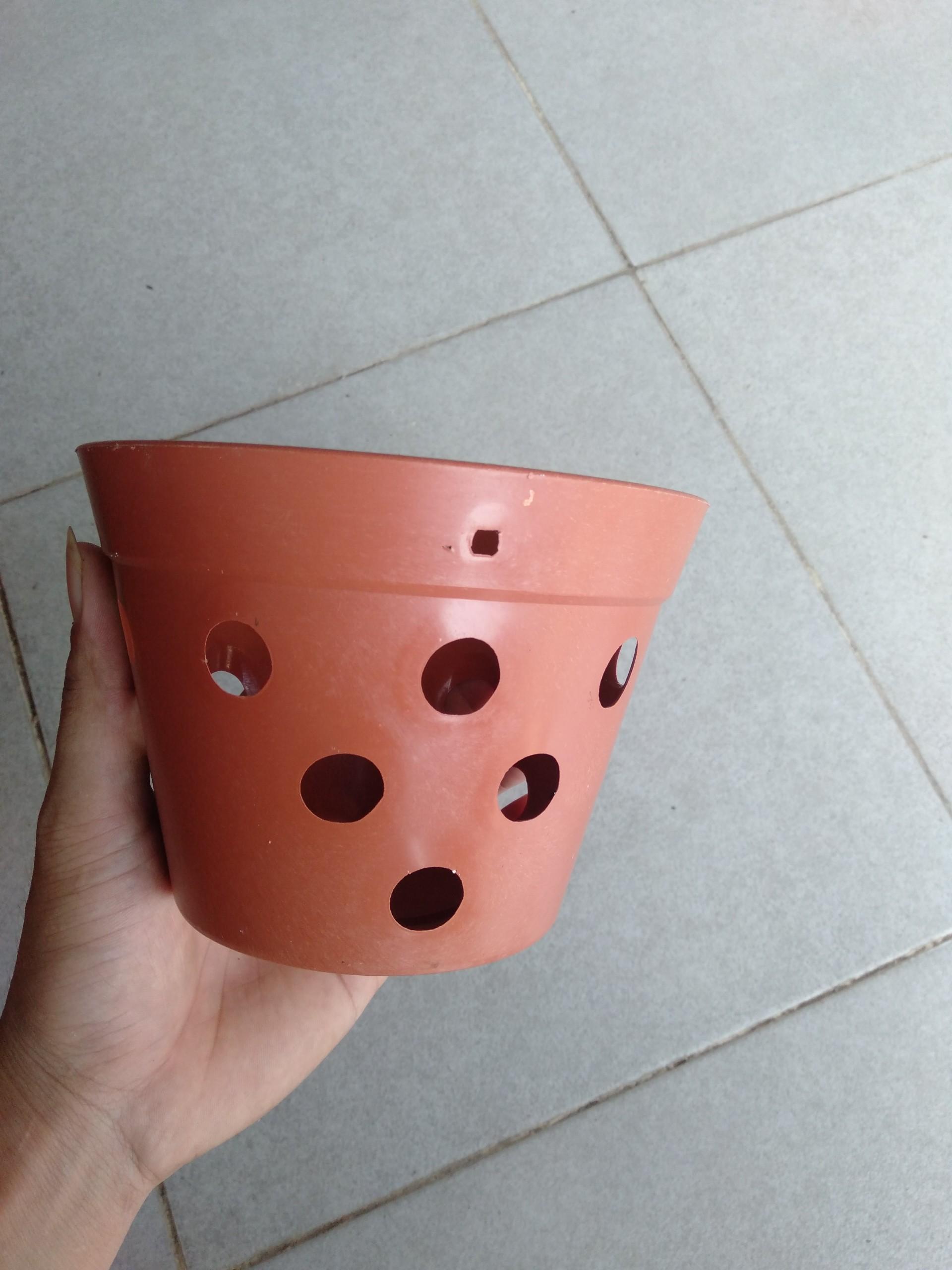 Set 10 chậu lan giả đất fi 14