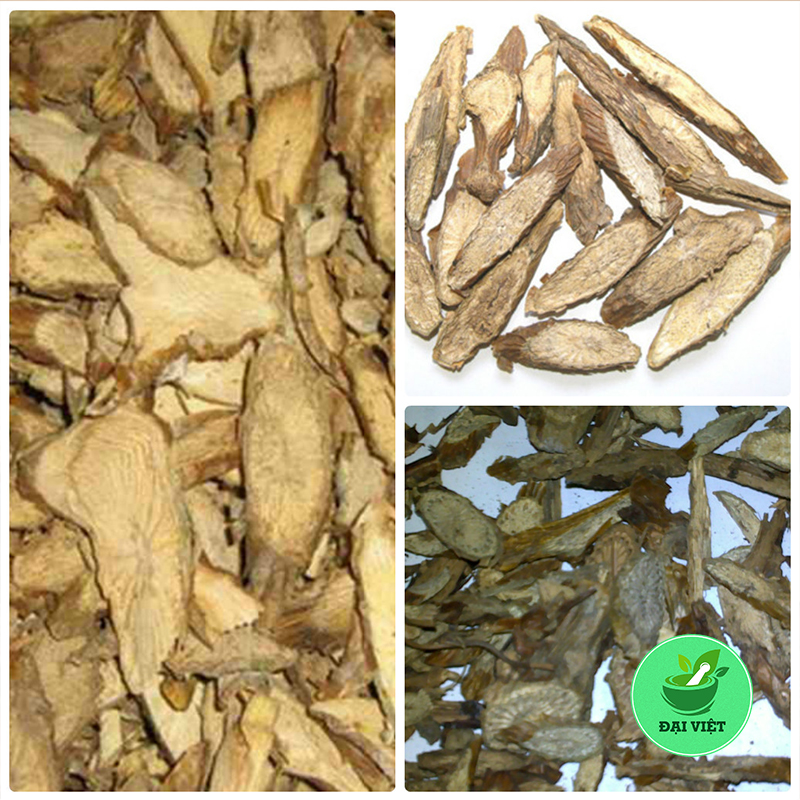 Dây Đau Xương (1kg) - DV073