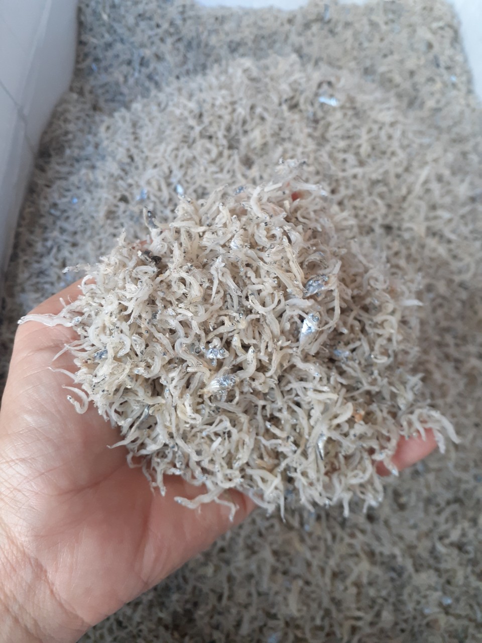 cá cơm 1kg - khô cá cơm - cá cơm mờm sữa