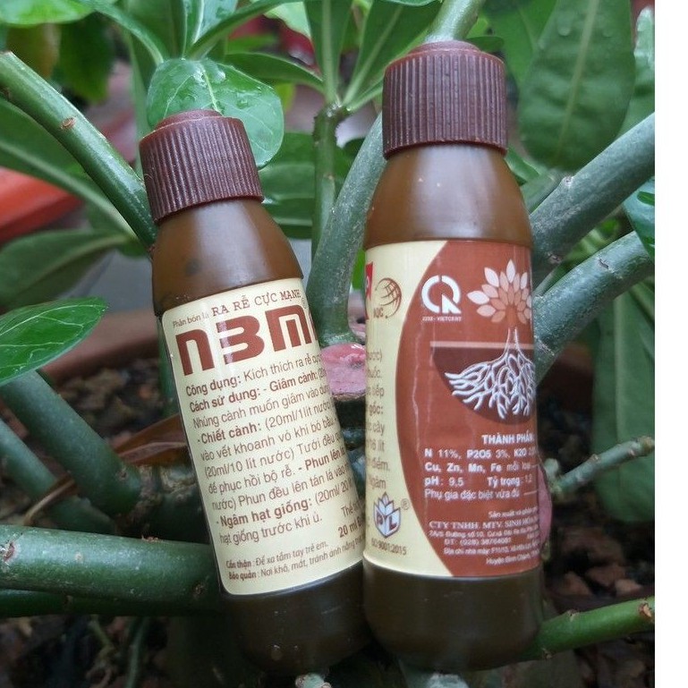 Dung Dịch N3M Kíchthích Ra Rể Cực Mạnh Lọ - (1 lọ 10ml)