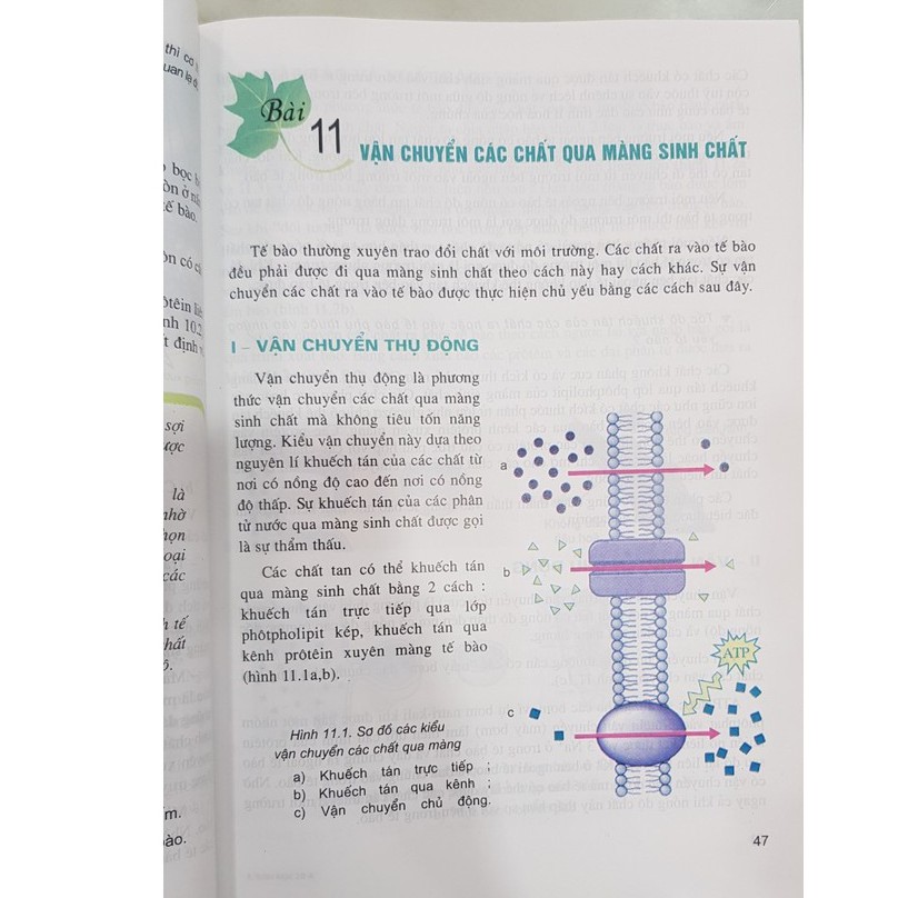 Sách - Sinh Học 10 - NXB Giáo dục