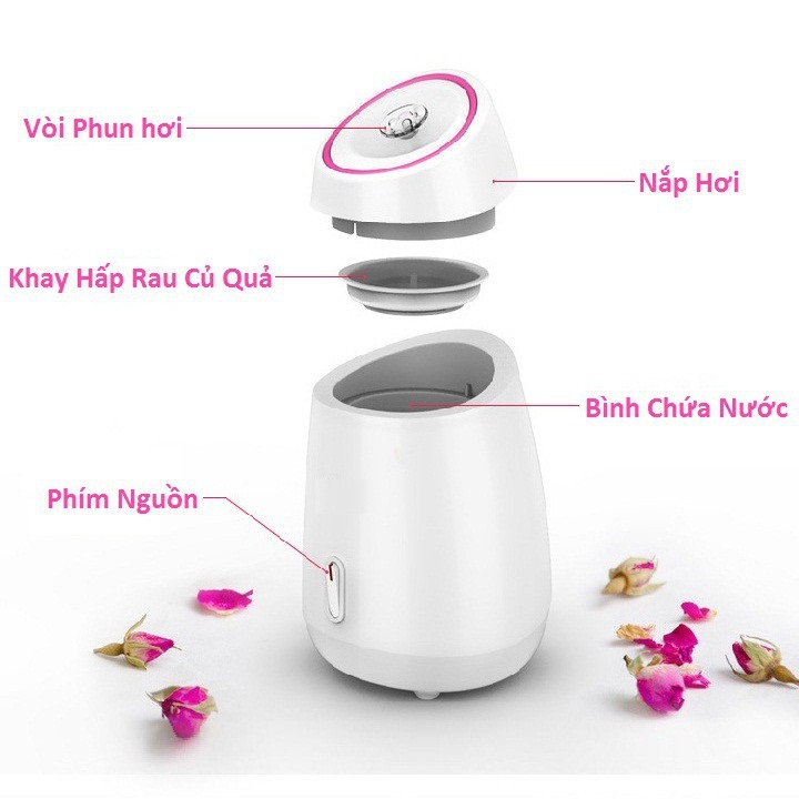 Máy xông hơi mặt thảo dược cao cấp phòng chống covid, máy xông mũi họng magic, máy xông mũi họng maoer