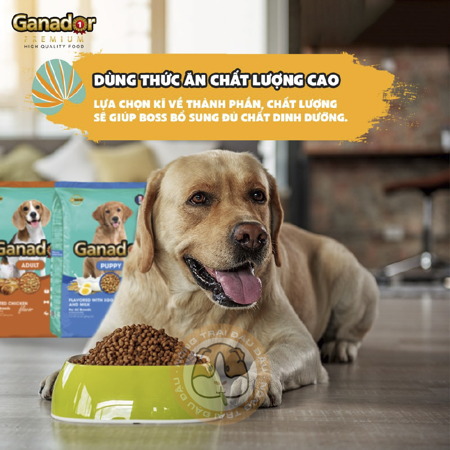 Thức Ăn Hạt Ganador Cho Chó 400g