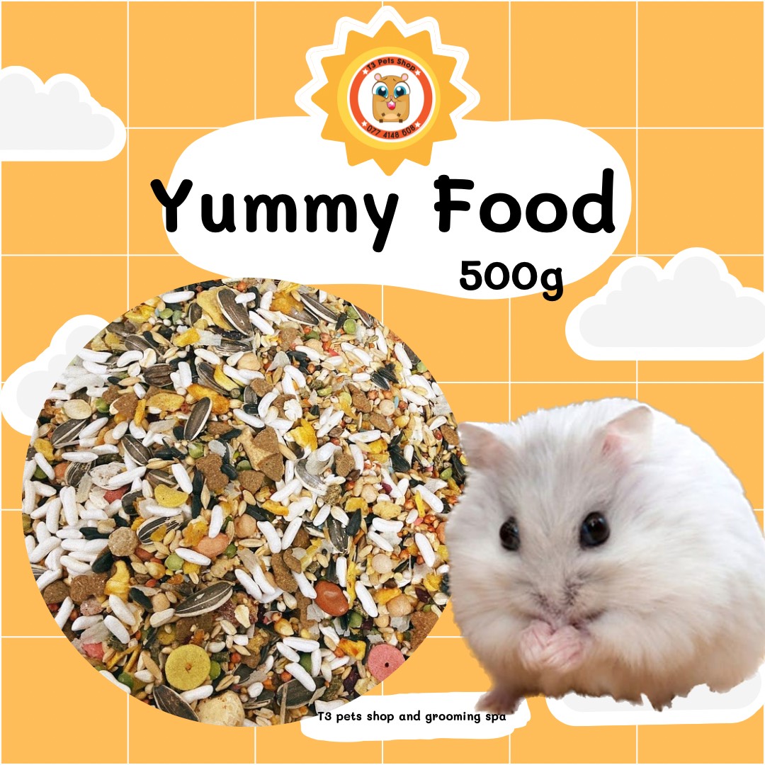 thức ăn ngũ cốc hạt (Normal, Yummy, Big) dành cho mọi loại hamster - T3 PETS SHOP