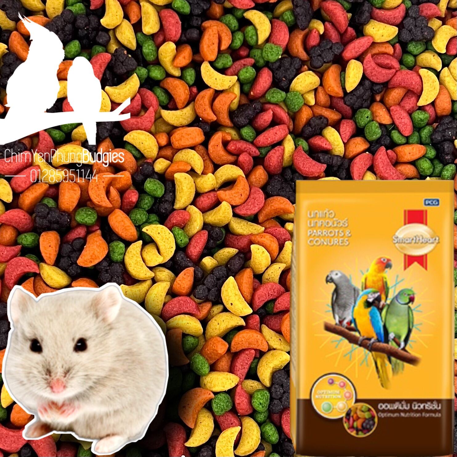 100g hạt trái cây Kaytee CP đủ vị - thức ăn: Hamster • Bọ • Vẹt..