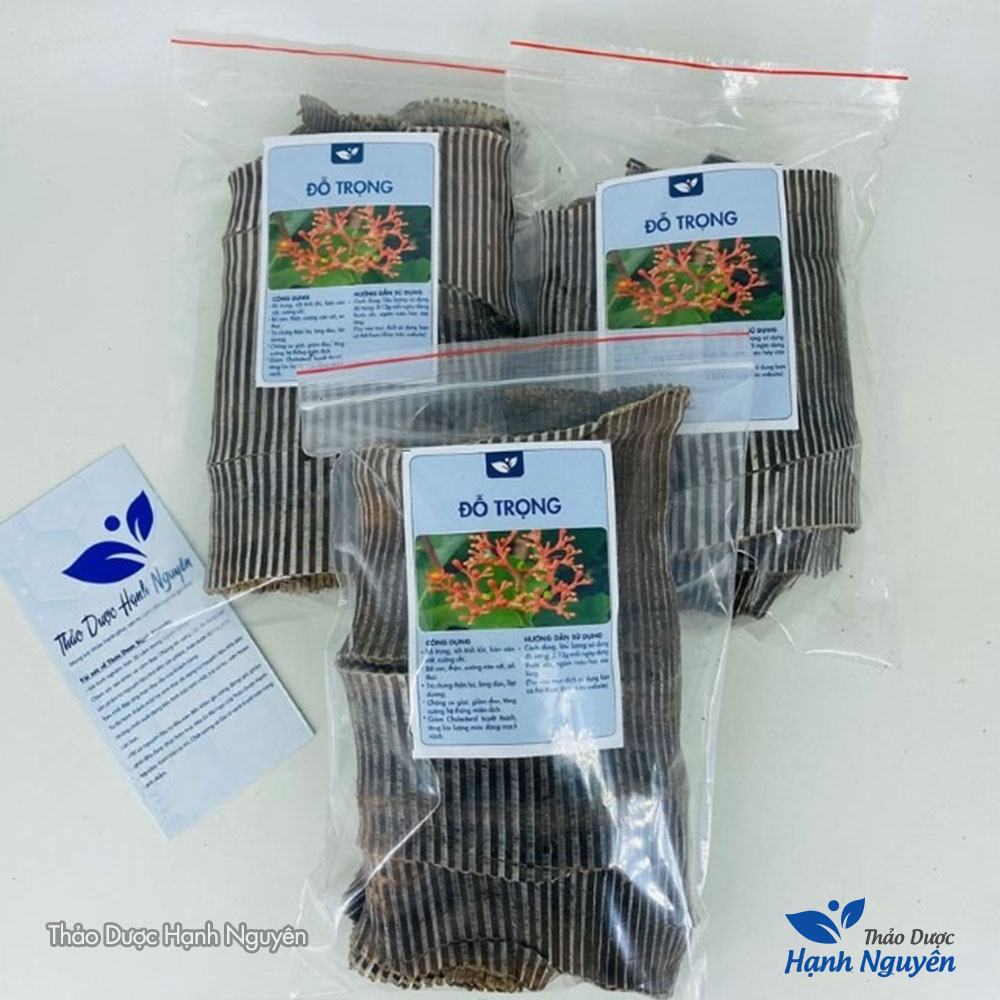 Đỗ trọng bắc khô 1kg, miếng to, đẹp, hỗ trợ bổ can thận, mạnh gân cốt, giảm đau xương khớp