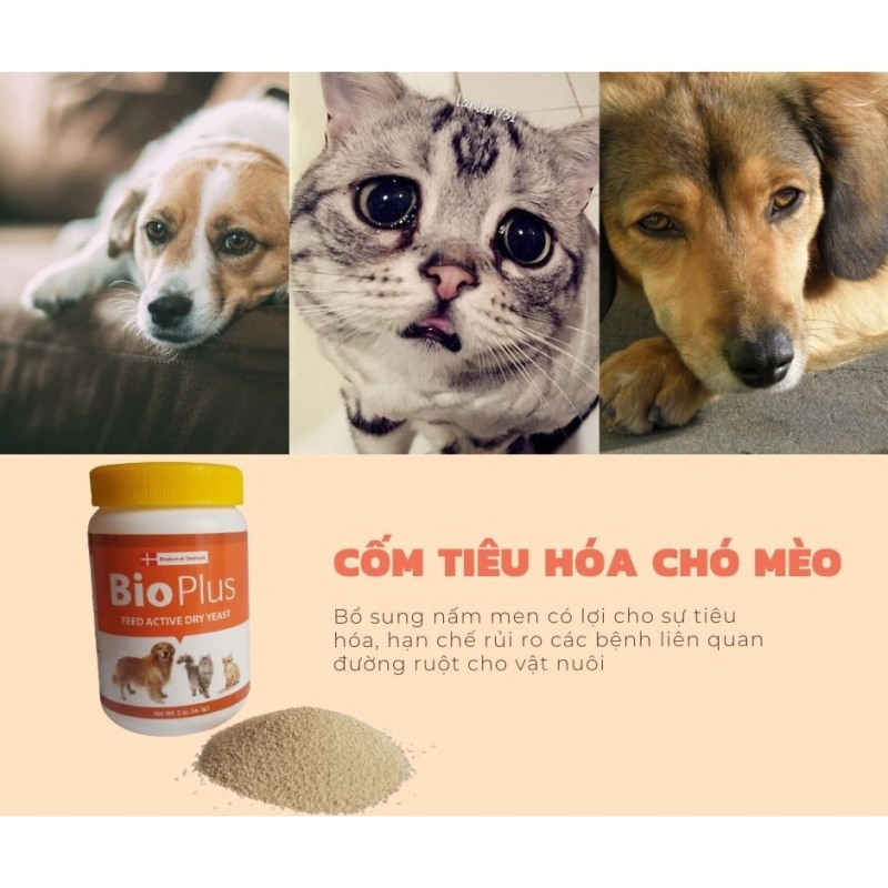 ✾✢  [Hàng Loại 1- Nhập Khẩu] Thức ăn cho mèo Cốm Tiêu Hóa Cho ChóMèo 56.7g  BioPlus hủ 56.7g👈🏿(mua 10 tặng 1)
