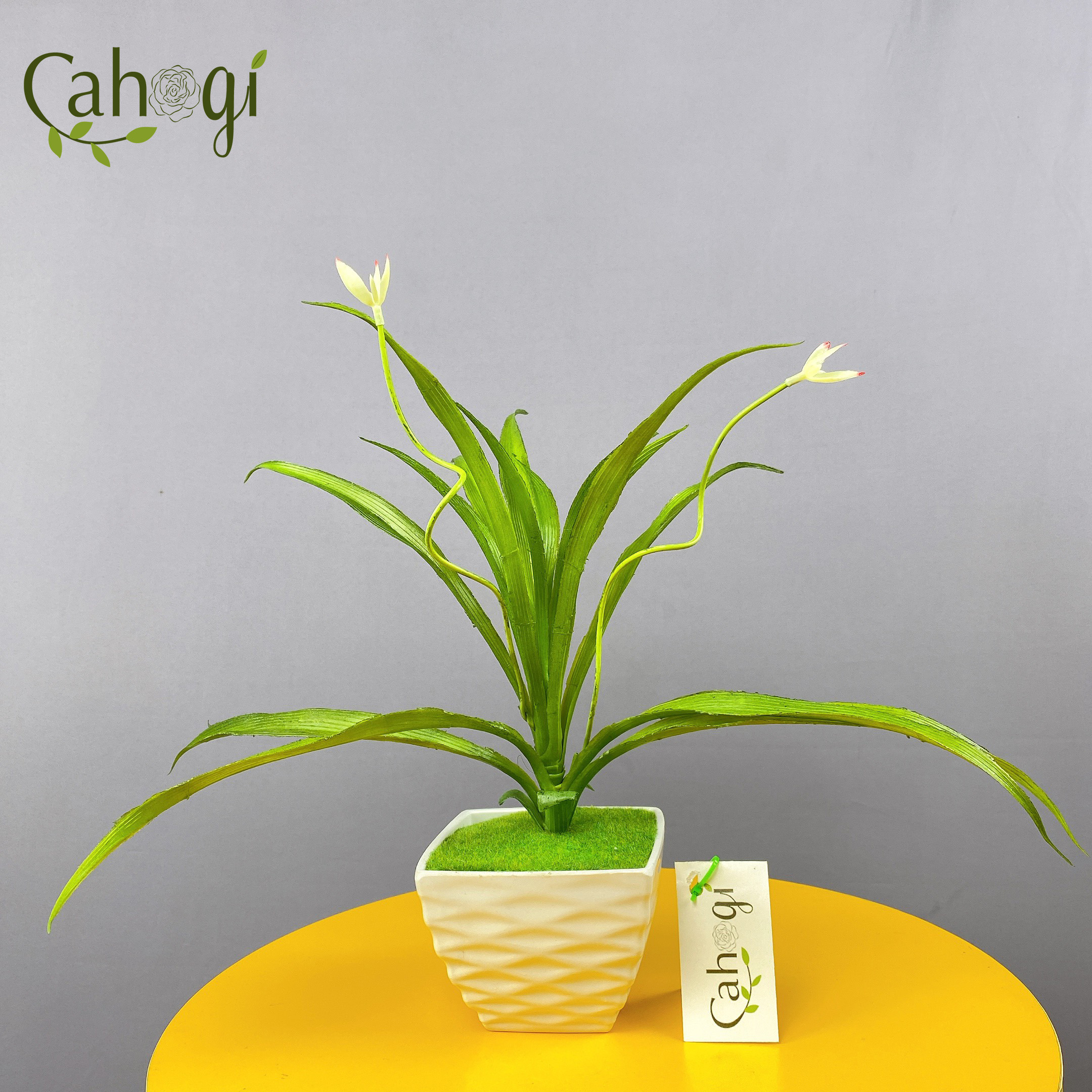 Cây Giả Cây Lan Chi 2 Nụ