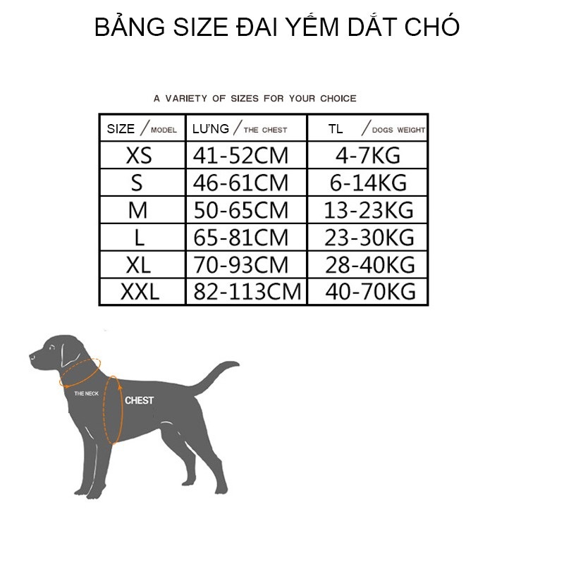 Combo dây dắt và yếm cho chó Moemoebear vải Oxford phản quang cao cấp