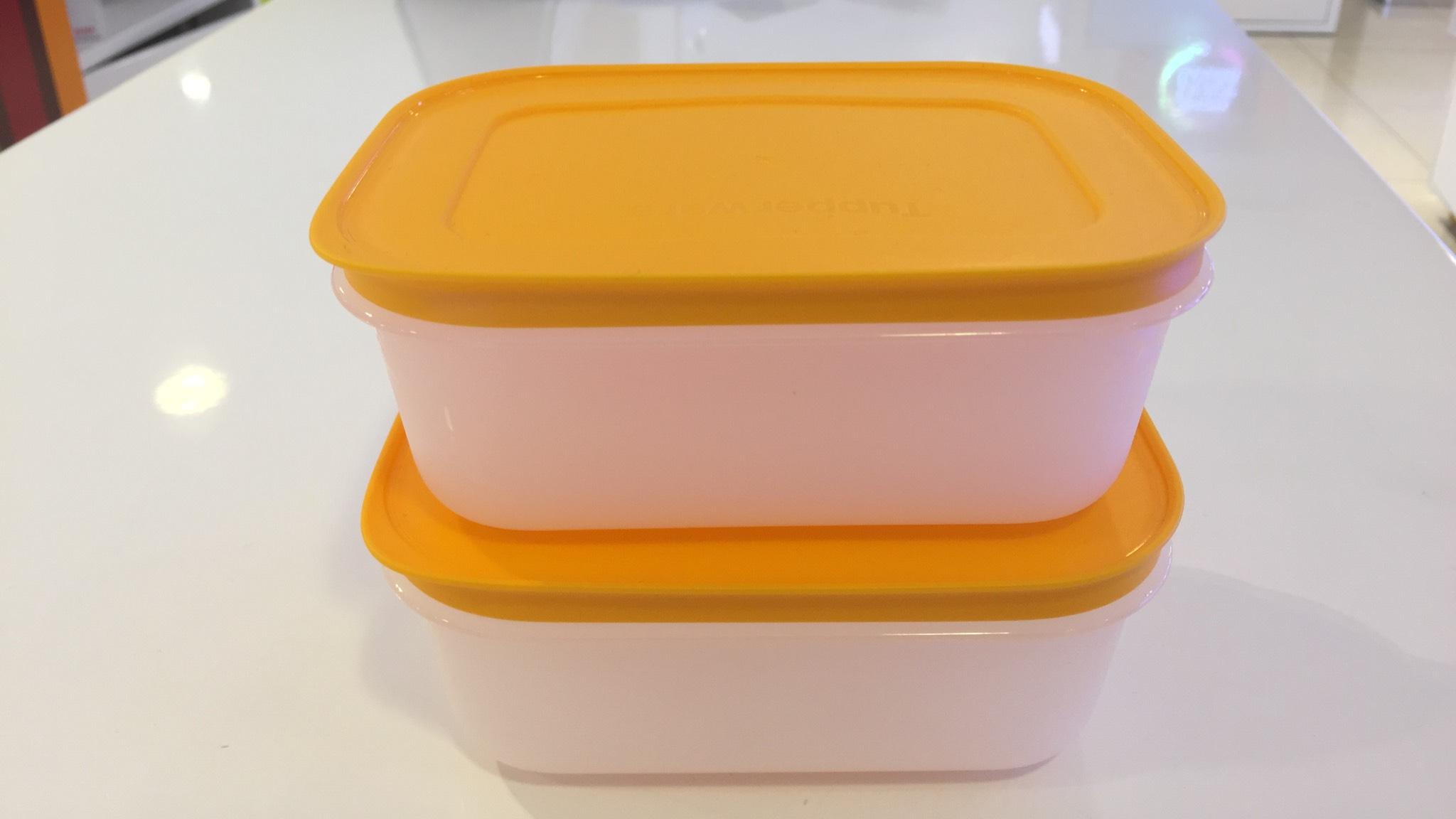 2 hộp trữ đông 450ml Gen 2 Tupperware