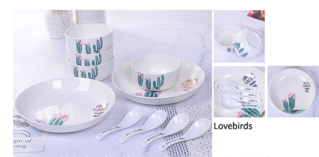 Bộ bát đĩa xương rồng cao cấp