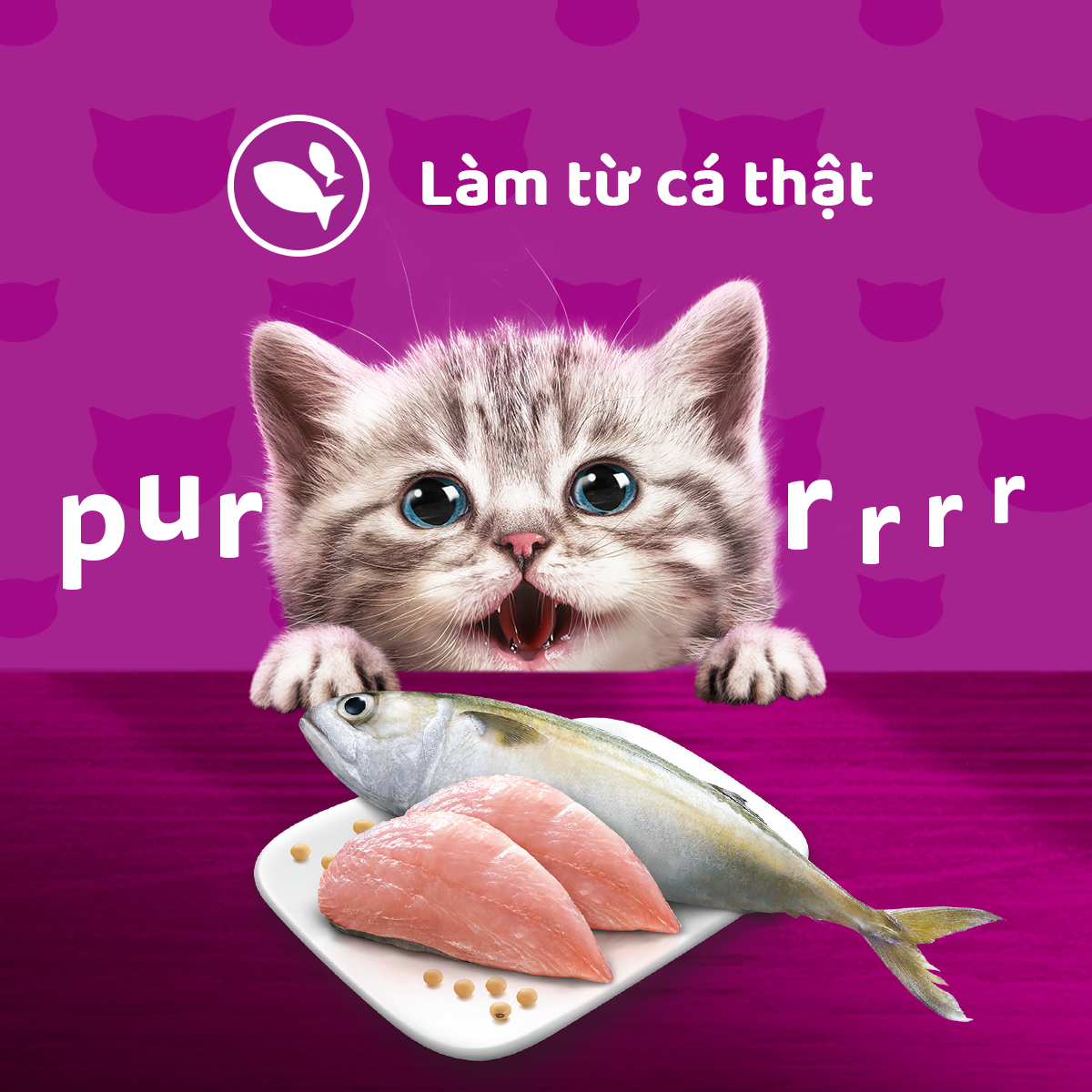 WHISKAS® Thức ăn cho mèo con dạng sốt (pate mèo) 80g (14 gói)