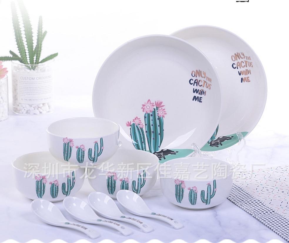 Bộ bát đĩa xương rồng cao cấp