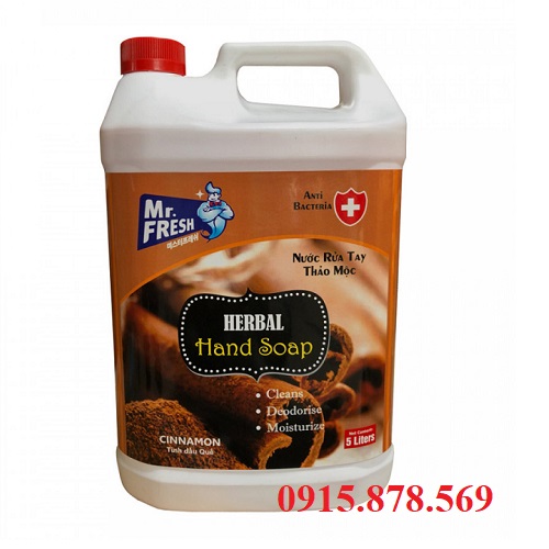 Nước rửa tay diệt khuẩn Mr Fresh can 5L