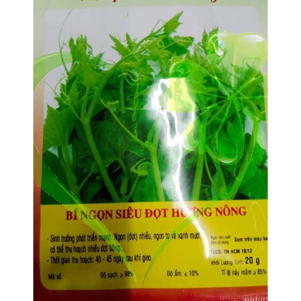 Hạt bí ngọn siêu đọt- gói 20 gram