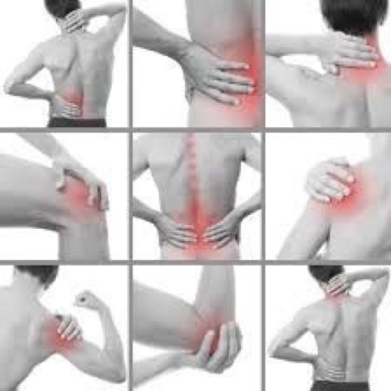 LĂN XƯƠNG KHỚP HISAMITSU NHẬT BẢN