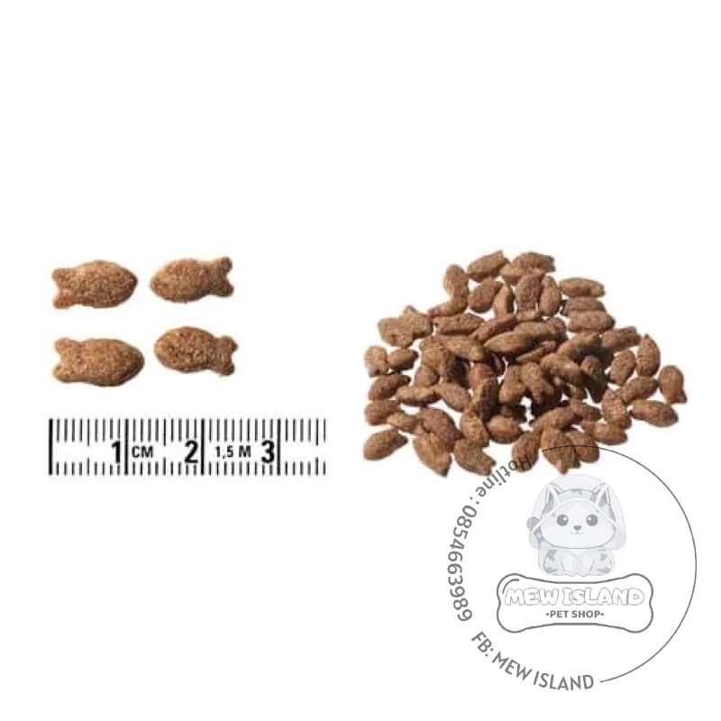 [1kg] Hạt CatEyes, hạt khô Hàn Quốc, thức ăn cho mèo mọi lứa tuổi