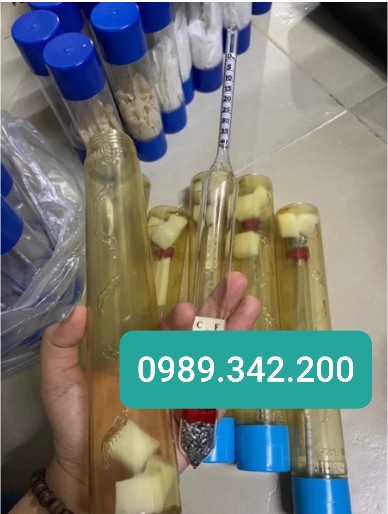 Cây đo độ mặn và nhiệt độ nước