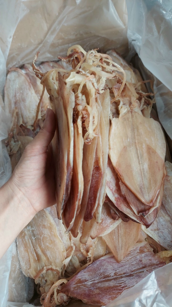 Khô Mực Câu 40-42Con/Kg